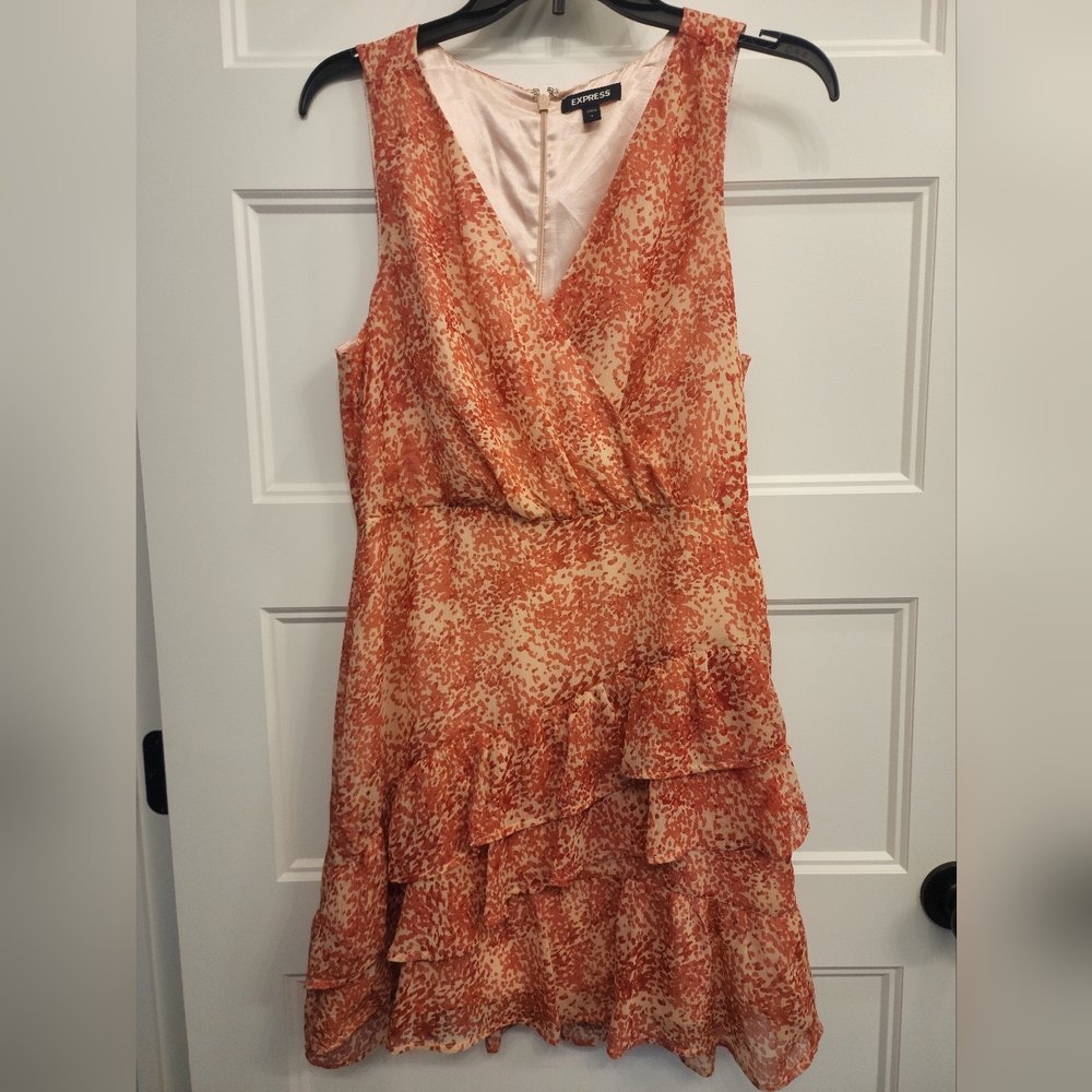 EXPRESS Dress